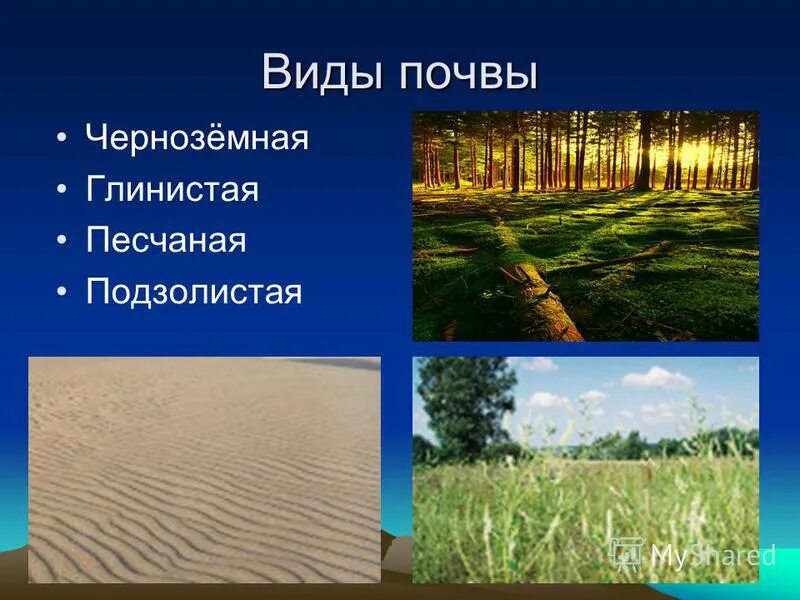 почвы ставропольского края. типы почв ставропольского края. сведения о почвах ставропольского края. почвенная карта ставропольского края карта. почвенная карта ставрополя.