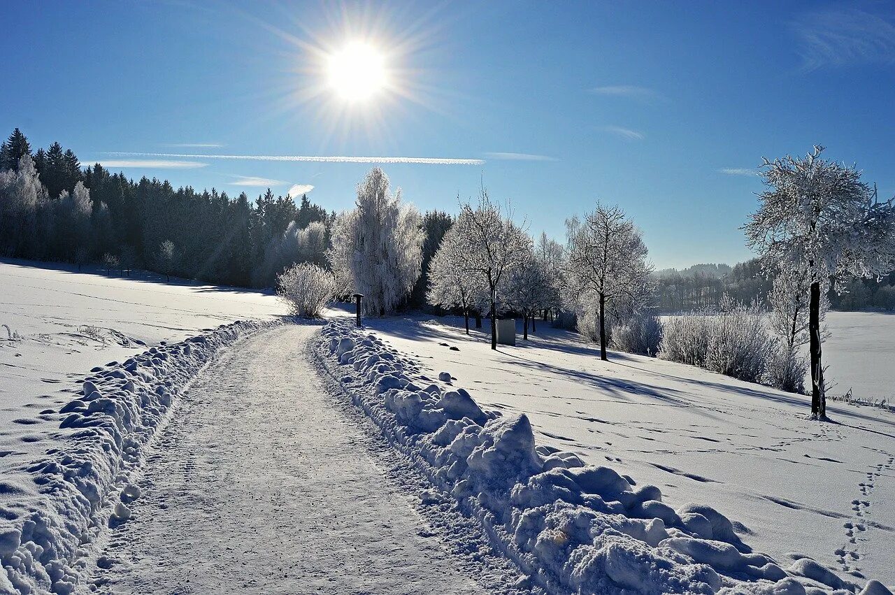 Зимнее погодное. Зимний день фото. Солнце зимой. Солнечно зимой. Солнечный зимний день.