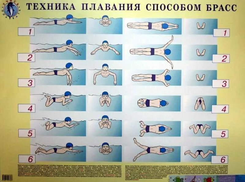Как научиться плавать быстро и легко