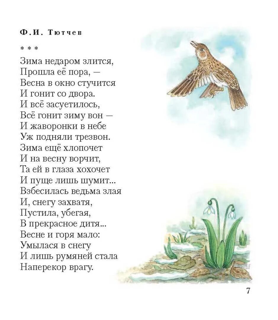 Тютчев птица. Стихи про весну для детей 2 класс русских поэтов. Стихи о природе русских поэтов. Стихи русских писателей о природе. Стихи о весне русских поэтов.