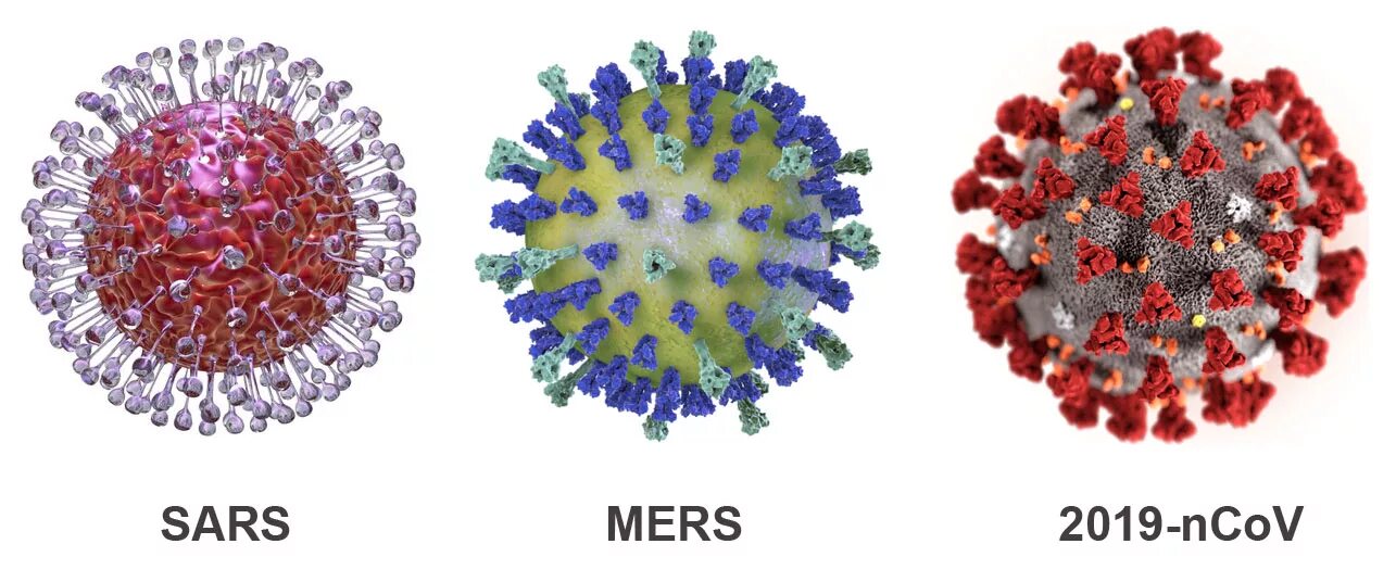Covid 19 коронавирус новый. Вирус коронавирус ковид-19. Коронавирус строение вируса. Коронавирус строение Covid 19. SARS-cov-2 Дельта штамм.