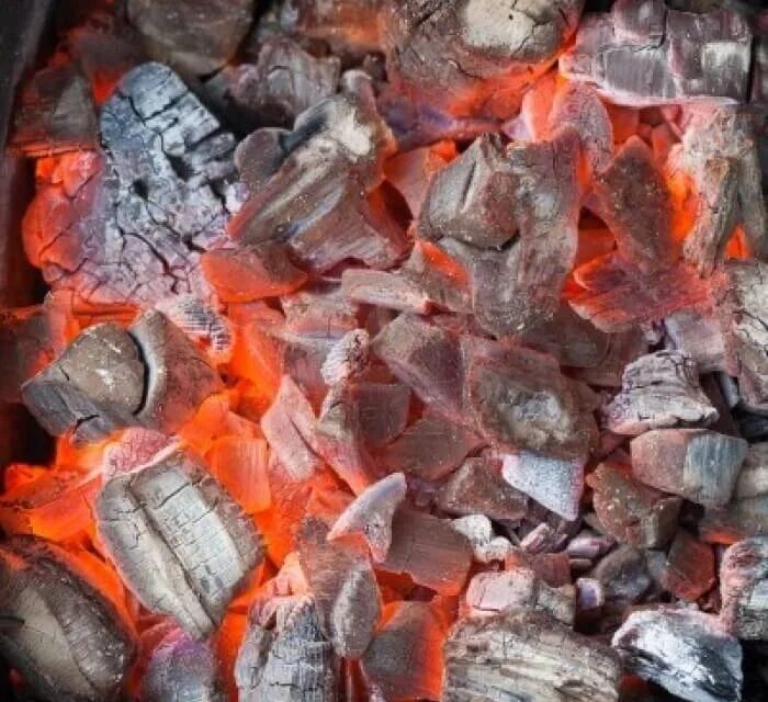 Swallow coals