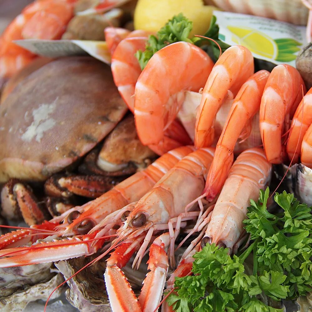 Морепродукты. Розовые морепродукты. Обожаю морепродукты. Оранжевый морепродукт.