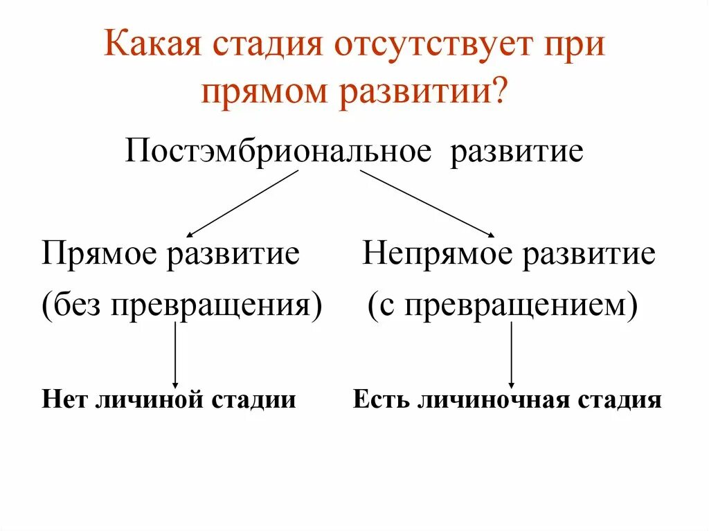 Типы онтогенеза прямой и непрямой. Какая стадия отсутствует при прямом развитии. Прямое и Непрямое развитие. Прямолпе и Нерямое развити.