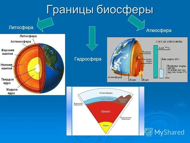 Биосфера тест 11 класс