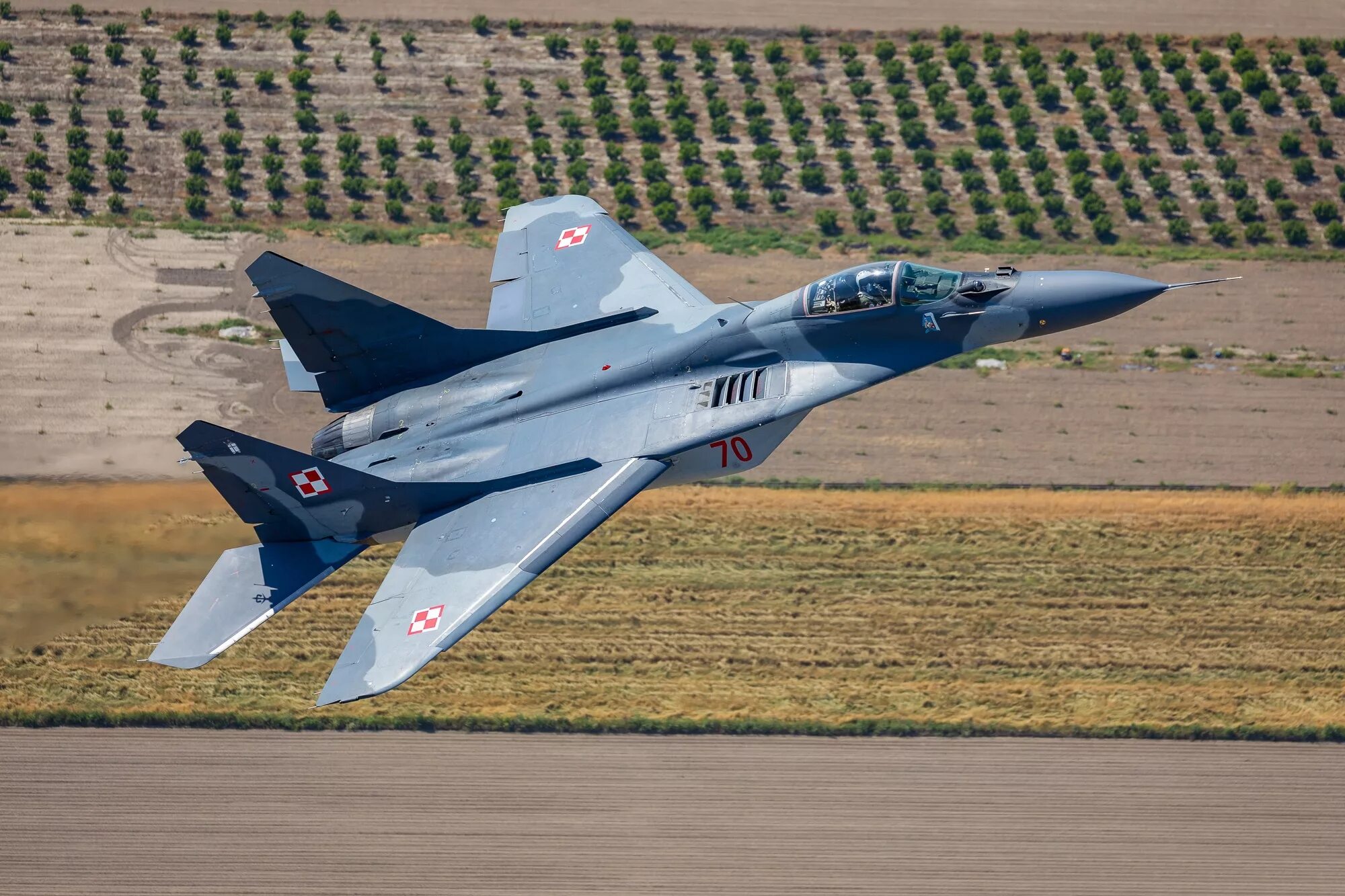 Истребители польши. Mig 29. Миг-29 ВВС Польши. Миг-29 истребитель. Истребитель миг-29 ВВС Польши.