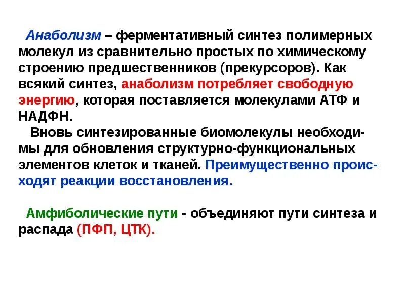 Атф анаболизма. Анаболизм это процесс синтеза. Анаболизм это Синтез. Амфиболические процессы. Амфиболический метаболический путь.