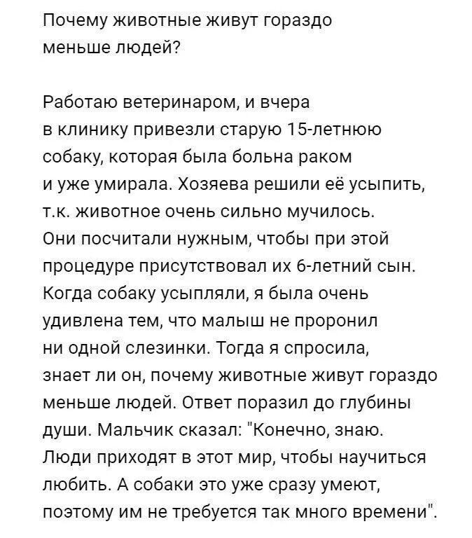 Способен и поэтому ему. Люди приходят в этот мир чтобы научиться любить а собаки. почему собаки так мало живут притча. люди приходят в этом мир. притча почему собаки живут меньше людей.