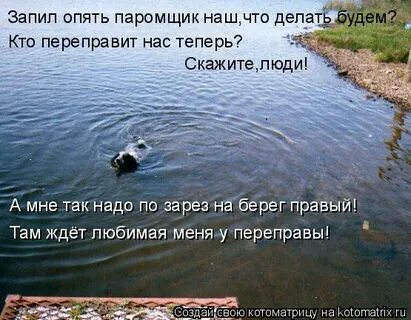 Паромщик стихотворение