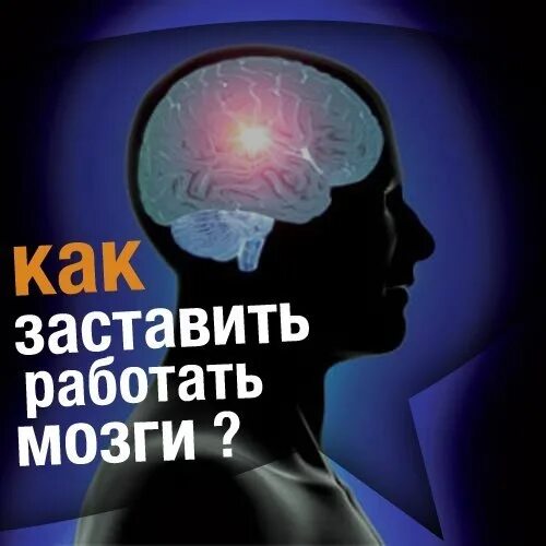 Brain sense. Заставить мозг работать. Как заставить мозг работать. Заставь свой мозг работать. Мозг включился.