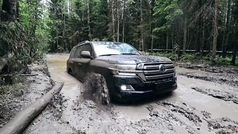 Видео крузака