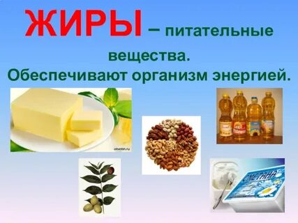 Питательные вещества 3 класс окружающий мир