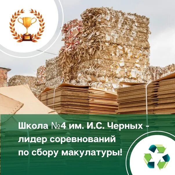 1 кг макулатуры спасает деревьев. 1 дерево 60 кг макулатуры. сколько 1 кг макулатуры. 60 кг макулатуры спасает 1 дерево. сколько дают за кг макулатуры.