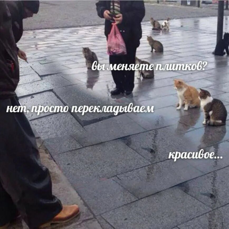 Рыбу продаете нет показываю красивое. Мем про рыбов. вы продаете рыбов. красивое мем. продоете рыбов.