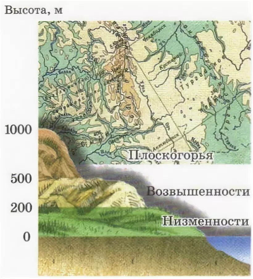 Среднерусская высота над уровнем моря. Среднерусская возвышенность на карте. Карта низменностей и возвышенностей России. Среднерусская возвышенность высота. Приволжская возвышенность на карте.