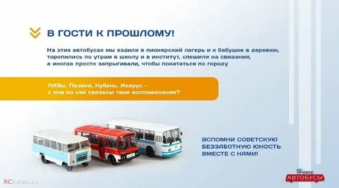 Наши автобусы модимио график выхода насекомые