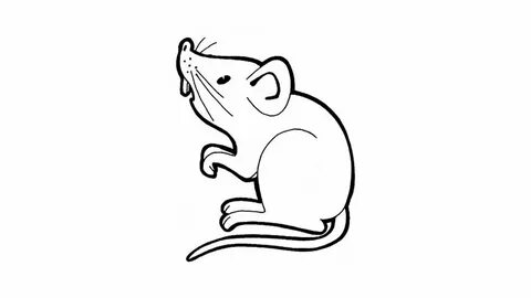 Dibujo de Ratón para colorear y pintar #9014