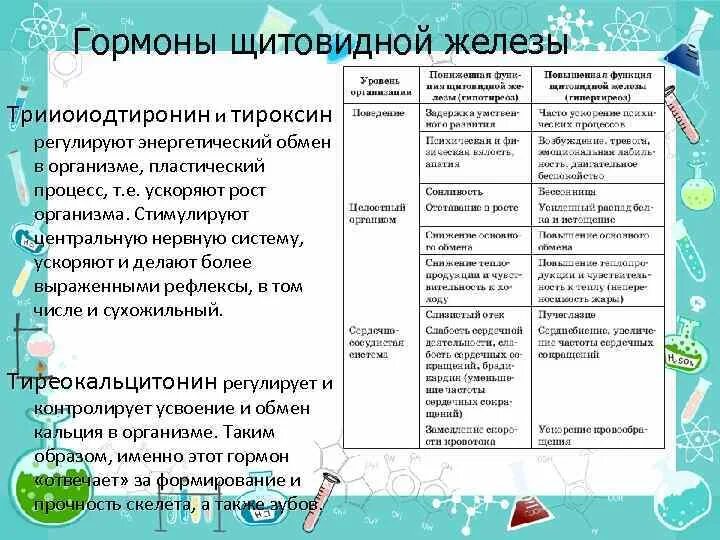 Гормоны выполняют функцию ответ. Влияние тиреоидных гормонов на энергообмен. Тироксин энергетический обмен. Гормон щитовидной железы регулирует энергетический обмен. Каким гормоном регулируется энергетический обмен.