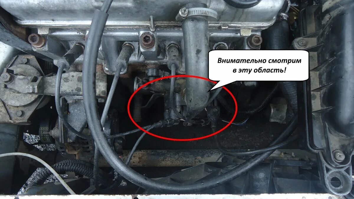 Катушка зажигания ВАЗ 2115 16 клапанов. Провода на катушку зажигания ВАЗ 2115. Катушка зажигания ВАЗ 16 клапанов. Катушка ВАЗ 2115 где находится. Проверить зажигание ваз 2115