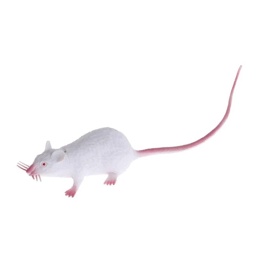 Модели мышей. Резиновая игрушка белая крыса. Силиконовая крыса. Пластиковые крысы. Мышь игрушка реалистичная.