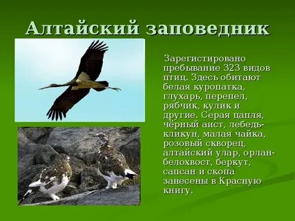 Заповедник урок