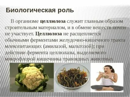 Биологическая роль крахмала