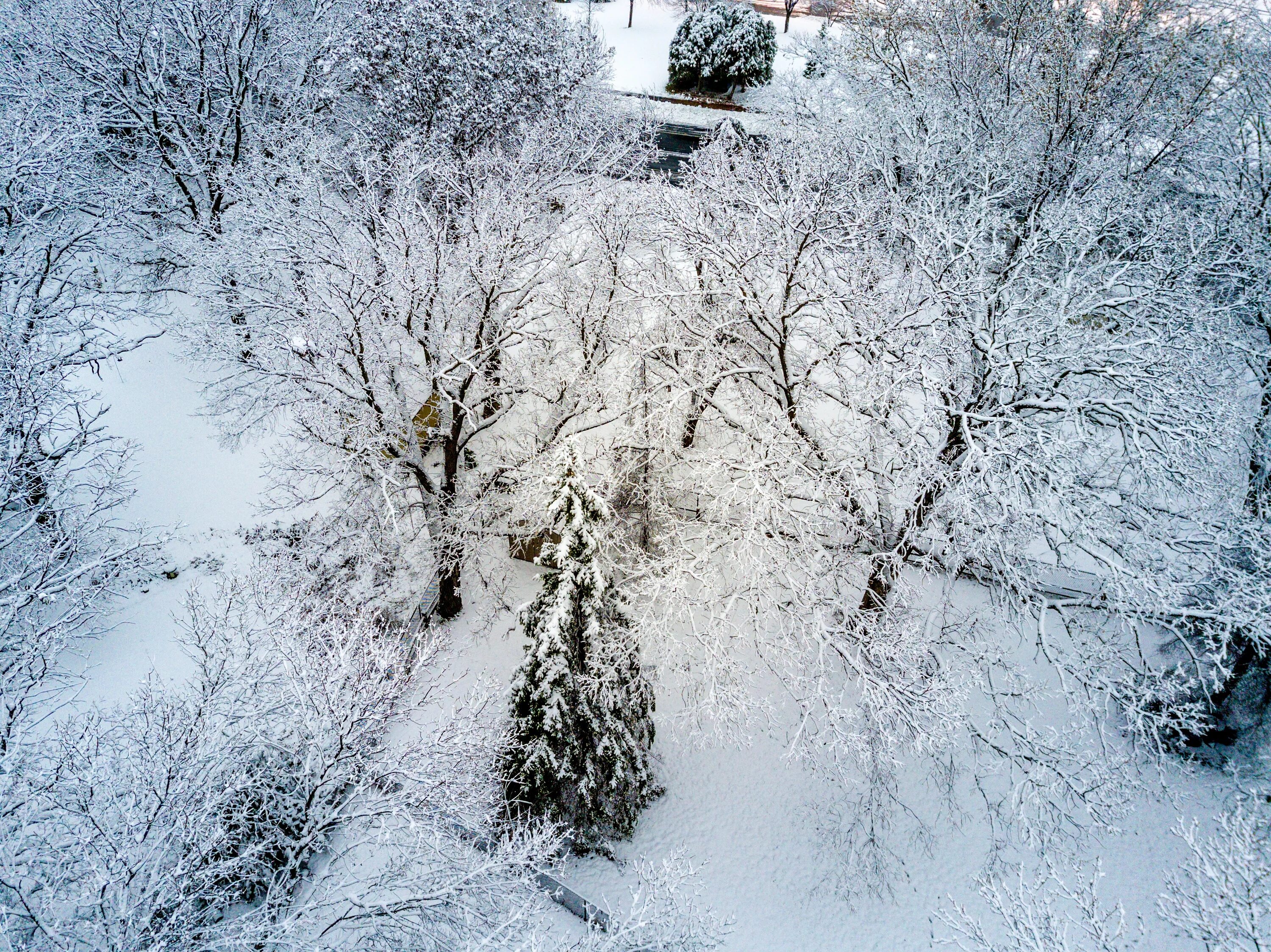 Зимнее погодное. Снегопад. Снежные осадки. Мокрая зима. Зима мокрый снег.