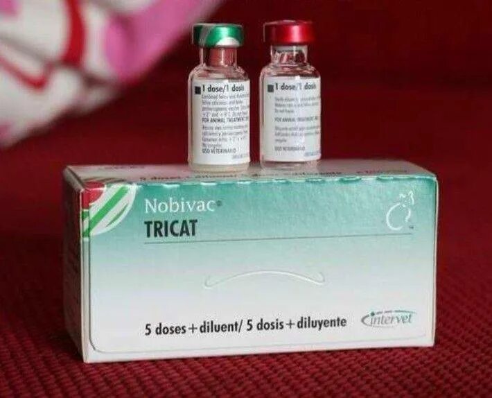 Вакцина Нобивак трикет трио. Вакцина Нобивак Tricat Trio Rabies. Вакцина Nobivac Tricat + Rabies. Nobivac Tricat Trio vaccine.