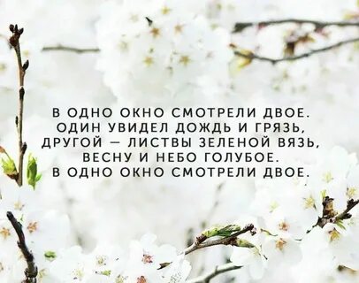 Стих в окно смотрели двое полностью