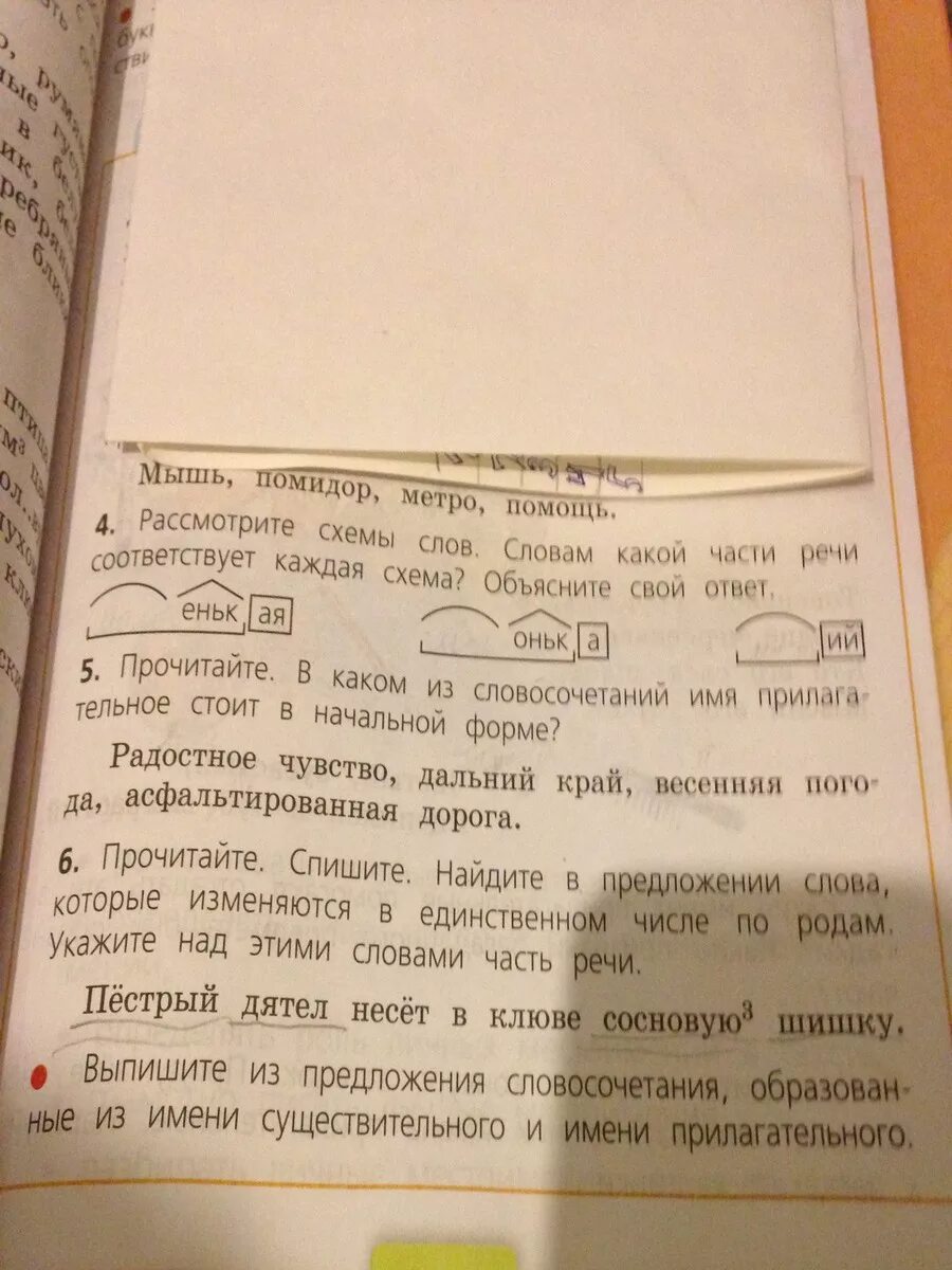 Мышь помидор метро помощь подобрать прилагательное. Пестрый дятел несет в клюве сосновую шишку разбор предложения. В предложении пестрый дятел несет в клюве сосновую шишку. Разбери предложение пестрый дятел в клюве несет сосновую шишку. Разобрать предложение пестрый дятел несет в клюве сосновую шишку.