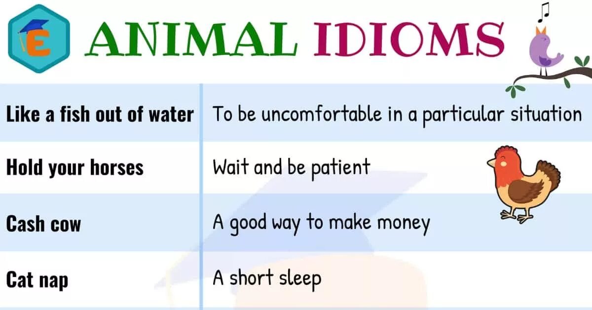 Idioms with roof. Animal idioms. Идиомы с животными на английском. Animal idioms in English. Idioms about animals.