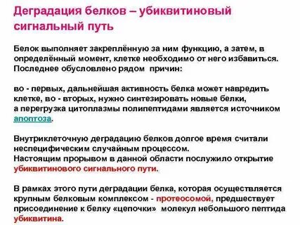 Пути деградации