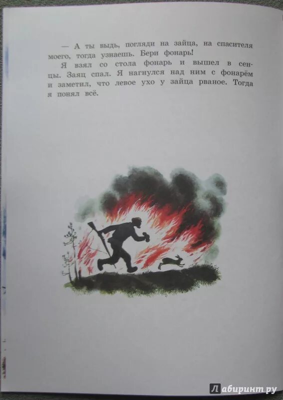 Что понял рассказчик заметив рваное ухо зайца. Заячьи лапы паустовский план. Паустовский "заячьи лапы". Что понял рассказчик заметив рваное ухо зайца. Заячьи лапы паустовский ваня малявин.