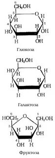 Глюкоза манноза галактоза фруктоза