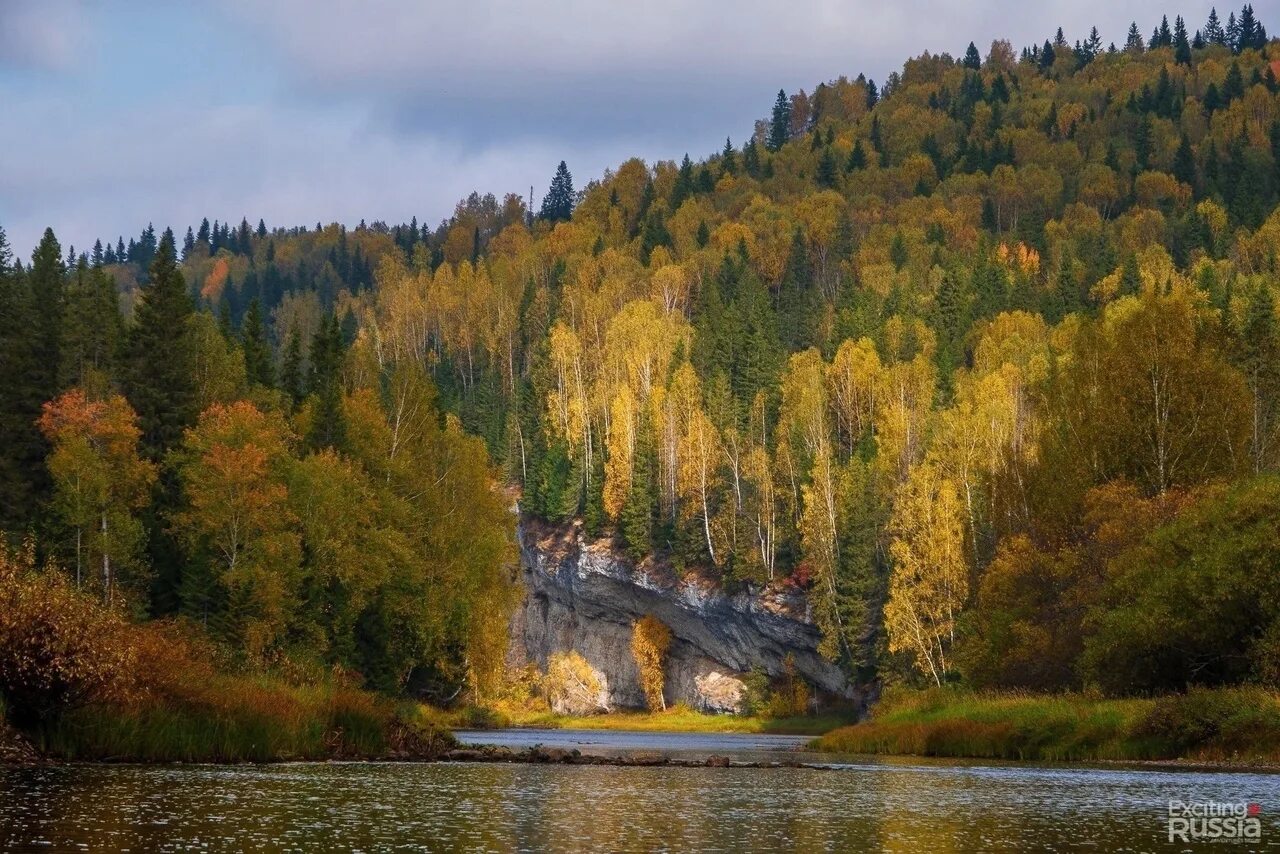 Пейзажи Пермского края. Пейзажи Перми фото. В лесу внутри Пермский край ноябрь. Нам попути Пермский край.