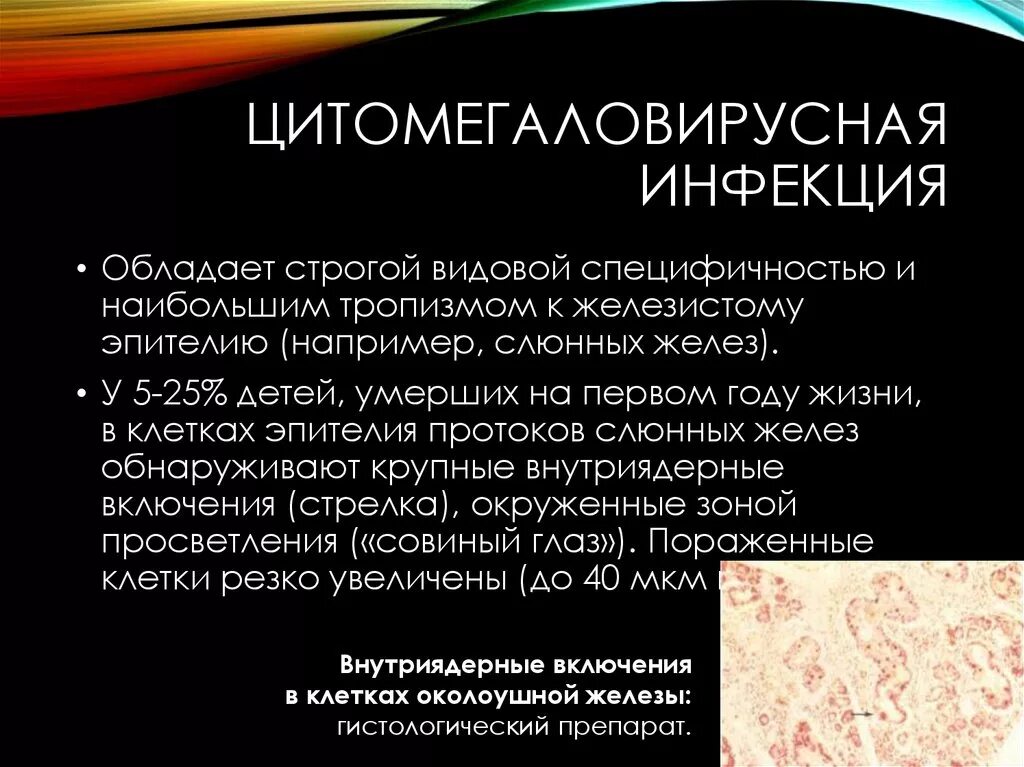 Цмв инфекция что это. Цитомегаловирусная инфекция генерализованная форма. Цитомегаловирусная инфекция клинические симптомы. Клинические проявления ЦМВ инфекции. Цитомегаловирус острая фаза симптомы.