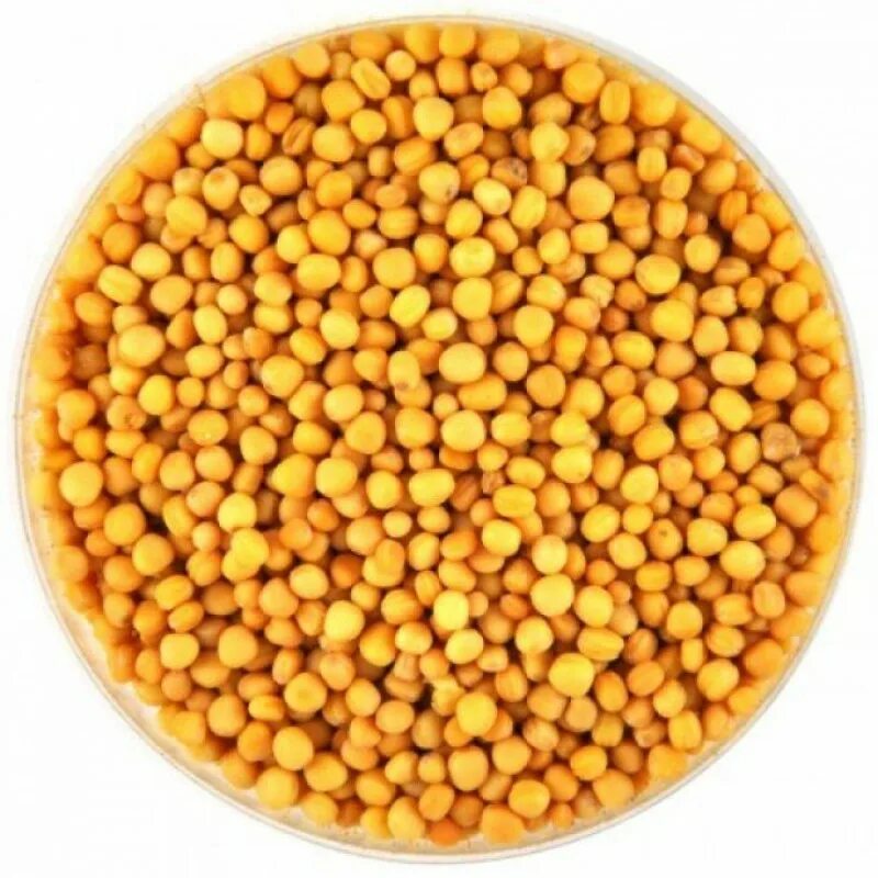 Семена сидераты горчица белая. Горчица белая желтая. Желтая горчица (семена). Горчица белая рапсодия семена. Горчичный цветок.