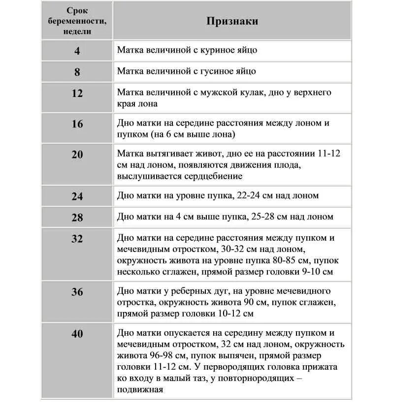 Изменение матки при беременности