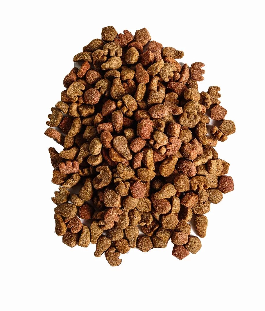 Куча корма. Собачий корм в тарелке. Кошачий корм в миске. Корм для собак go! daily defence ягненок 5. Корм для собак go! daily defence ягненок 230г.