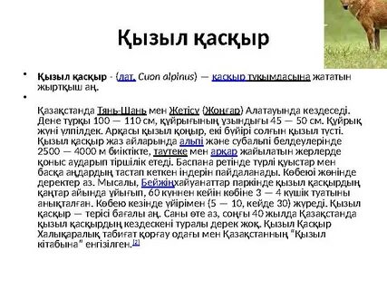 Мортвиммен жыныстық қатынас