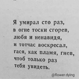 Текст до 1000 я тебя люблю скопировать