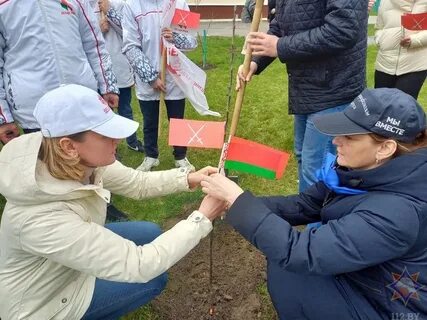 Погода в ельске гомельской
