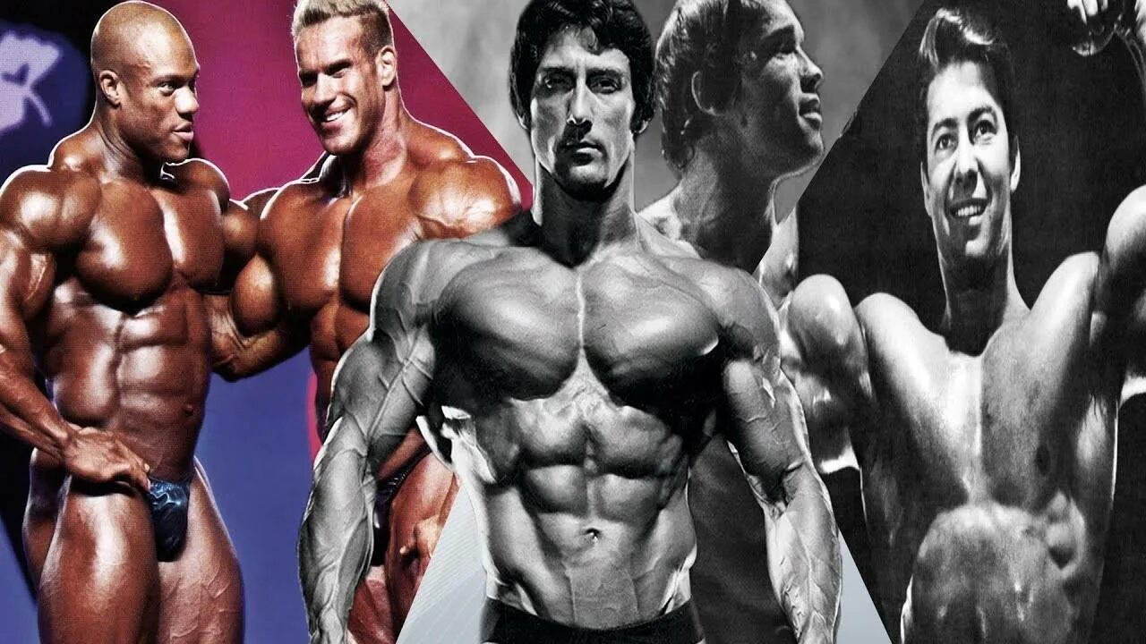Шварценеггер 8 мистер олимпия. Nasser бодибилдер. Бодибилдер мистер олимпия. Шон рей бодибилдер. Мистер олимпия 2013.