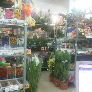 Цветочный магазин чебоксары