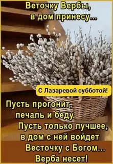Можно ли стричься в вербное воскресенье