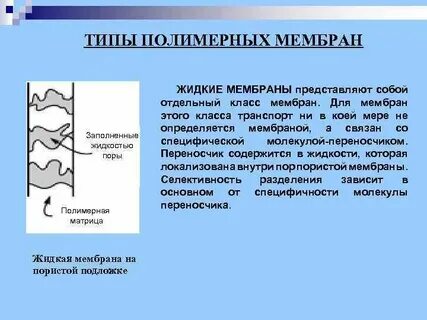 Жидкая мембрана