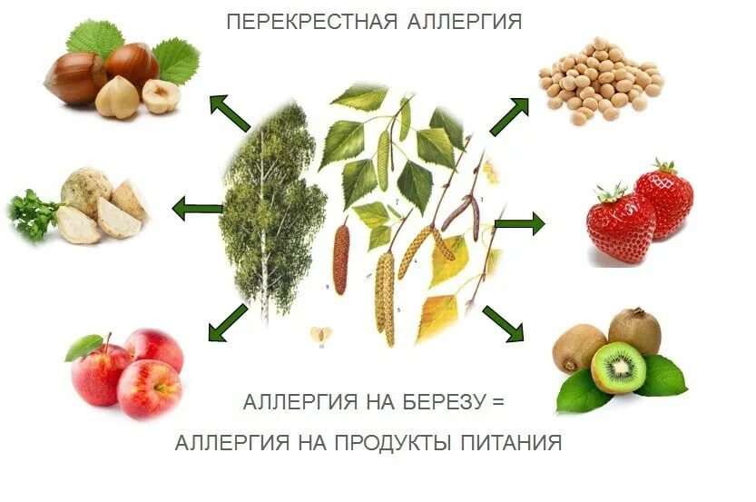Клубника является аллергеном