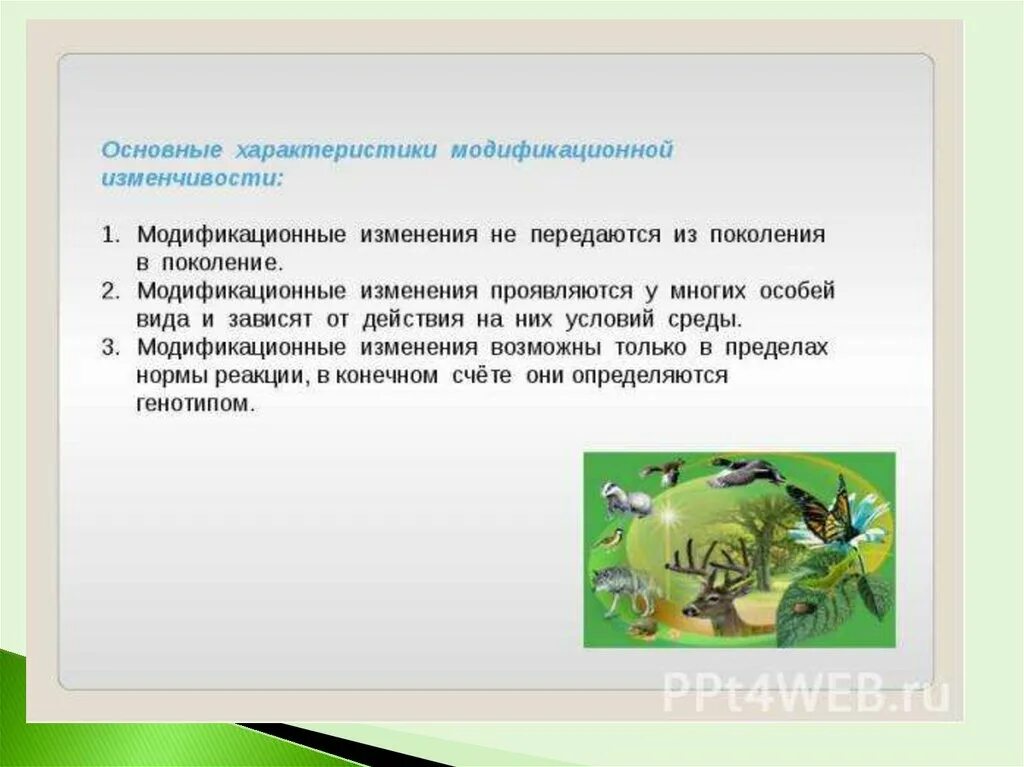 Какое значение имеет для эволюции модификационная изменчивость