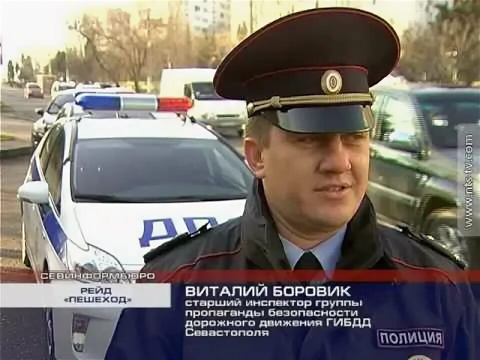 Петербург боровик