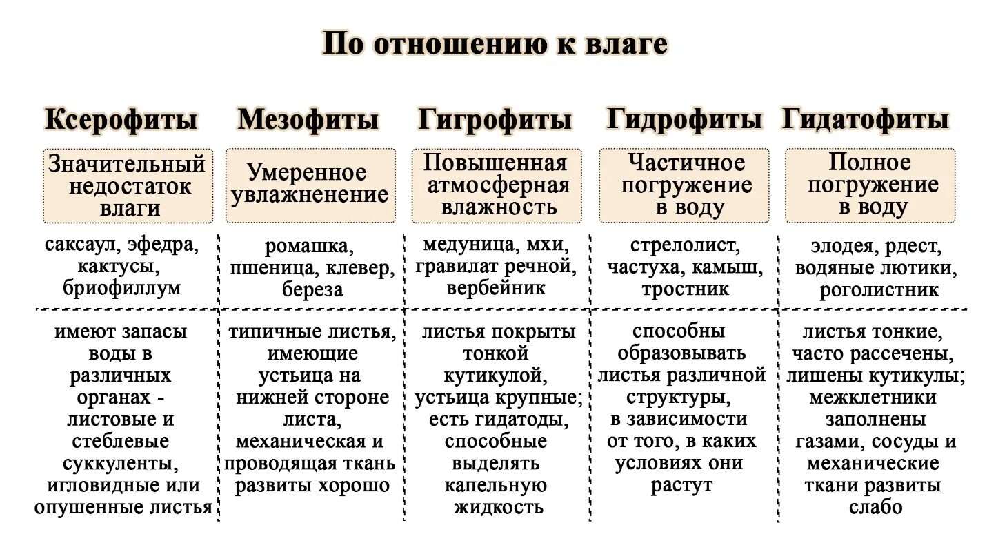 Таблица группы растений по отношению к теплу